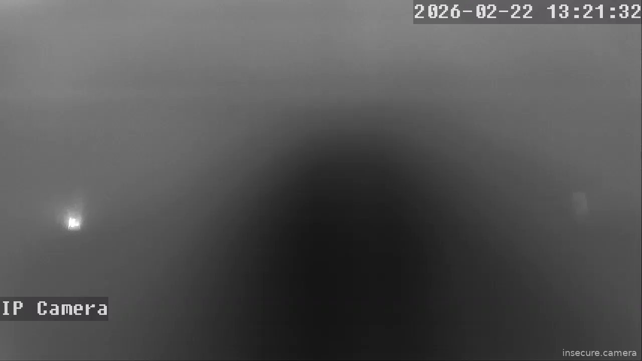 Capture from Feb 22, 2026 at 05:21 AM