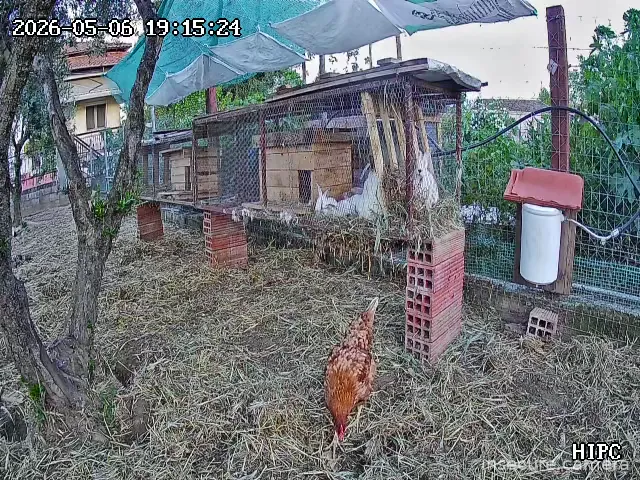 Camera in Greece