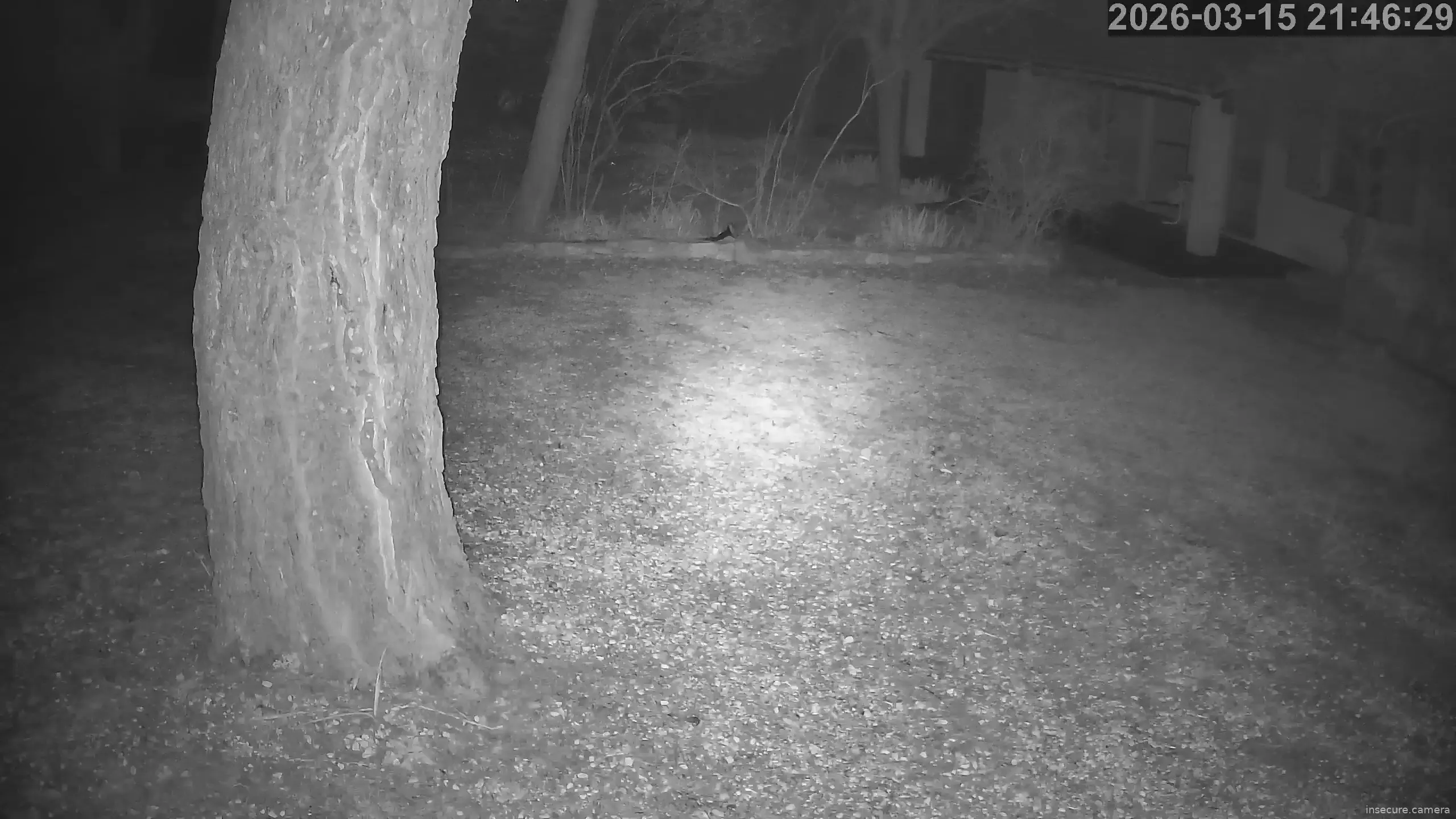 Capture from Mar 15, 2026 at 08:47 PM