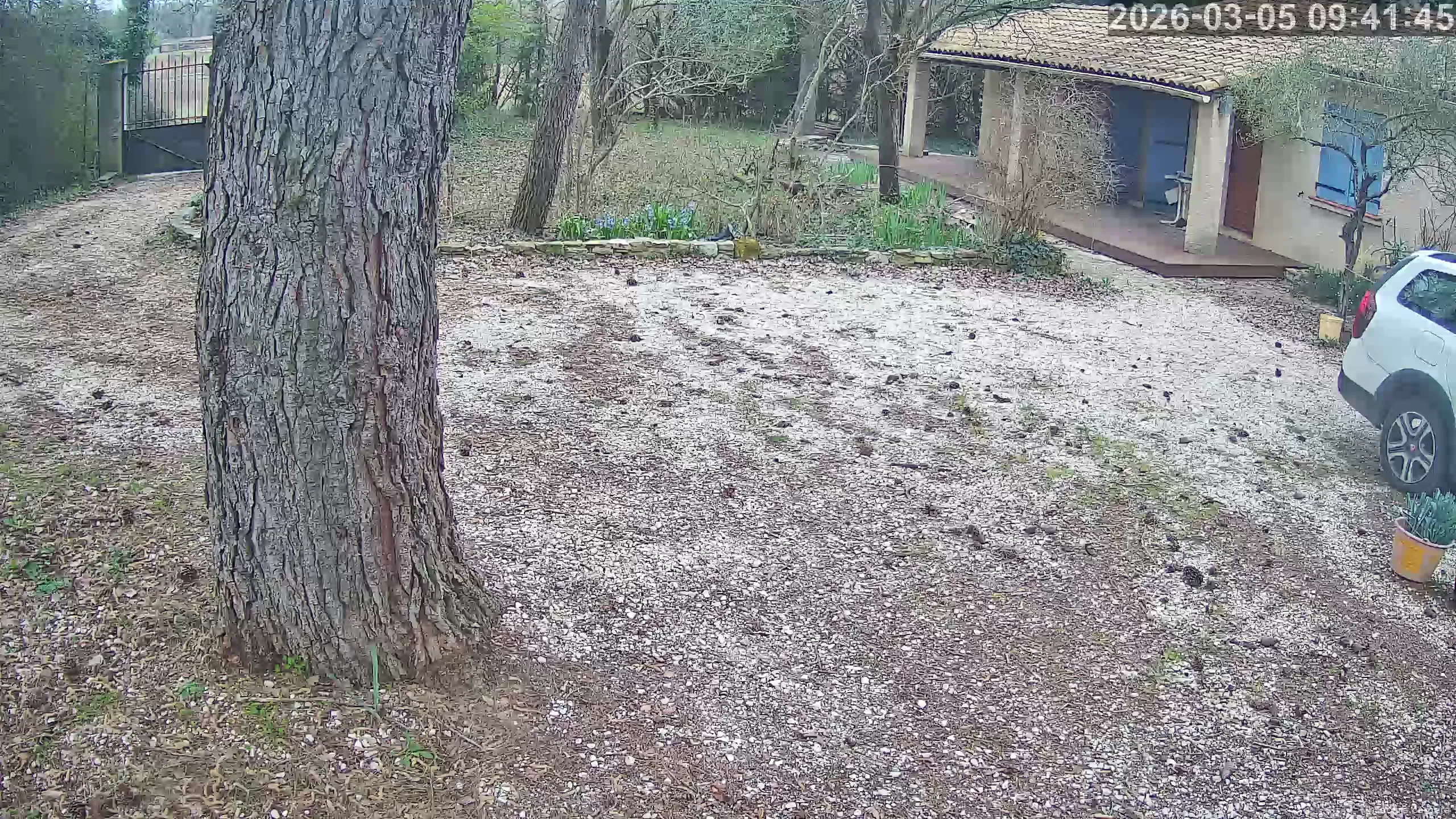 Capture from Mar 05, 2026 at 08:42 AM