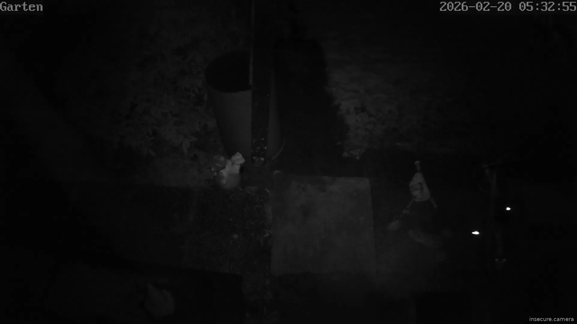 Capture from Feb 19, 2026 at 09:33 PM