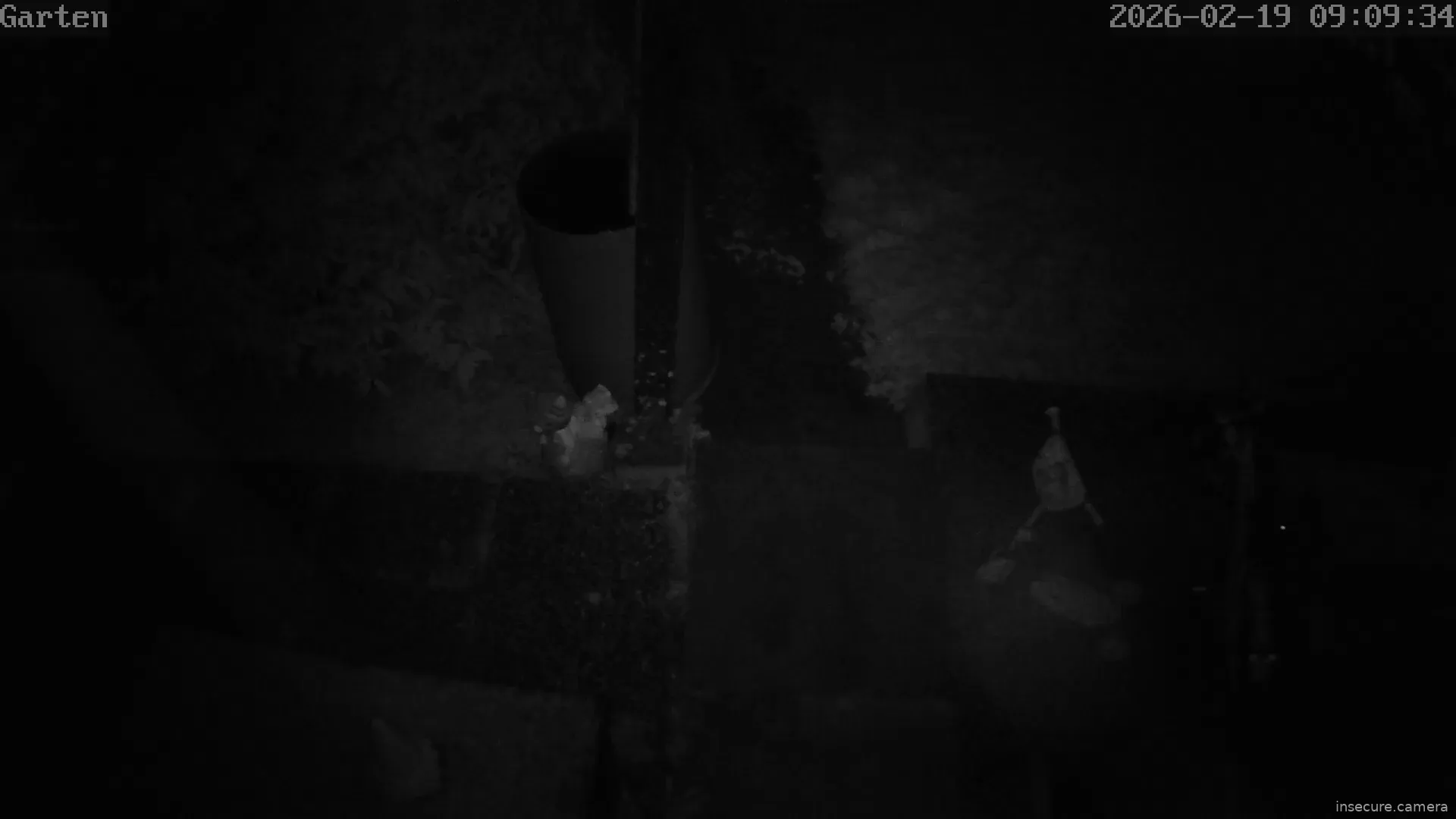 Capture from Feb 19, 2026 at 01:09 AM