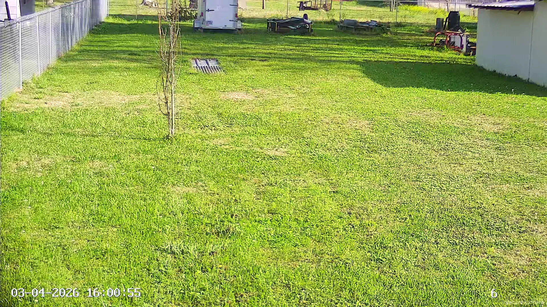 Camera in United States