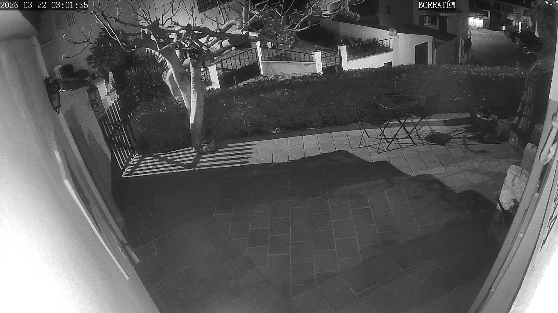 Capture from Mar 22, 2026 at 03:02 AM