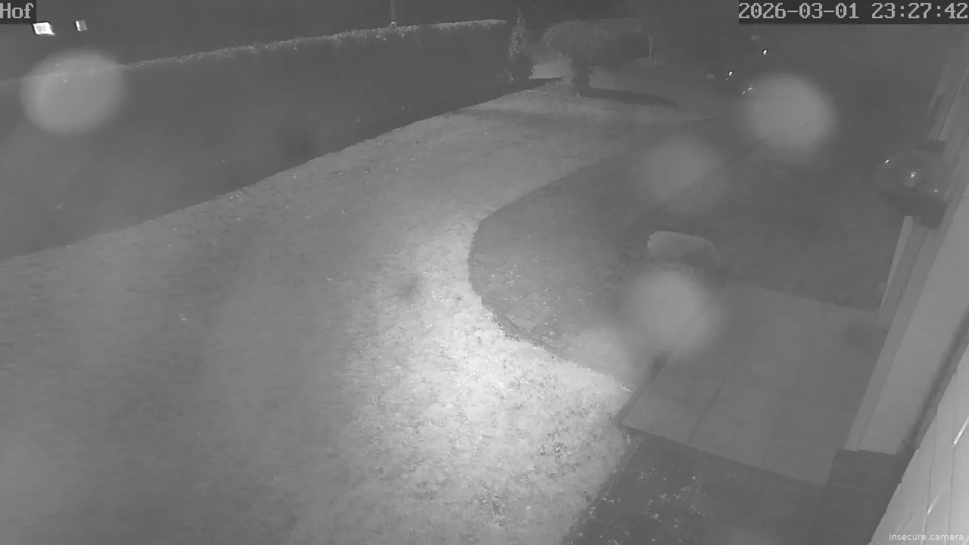 Capture from Mar 01, 2026 at 10:25 PM