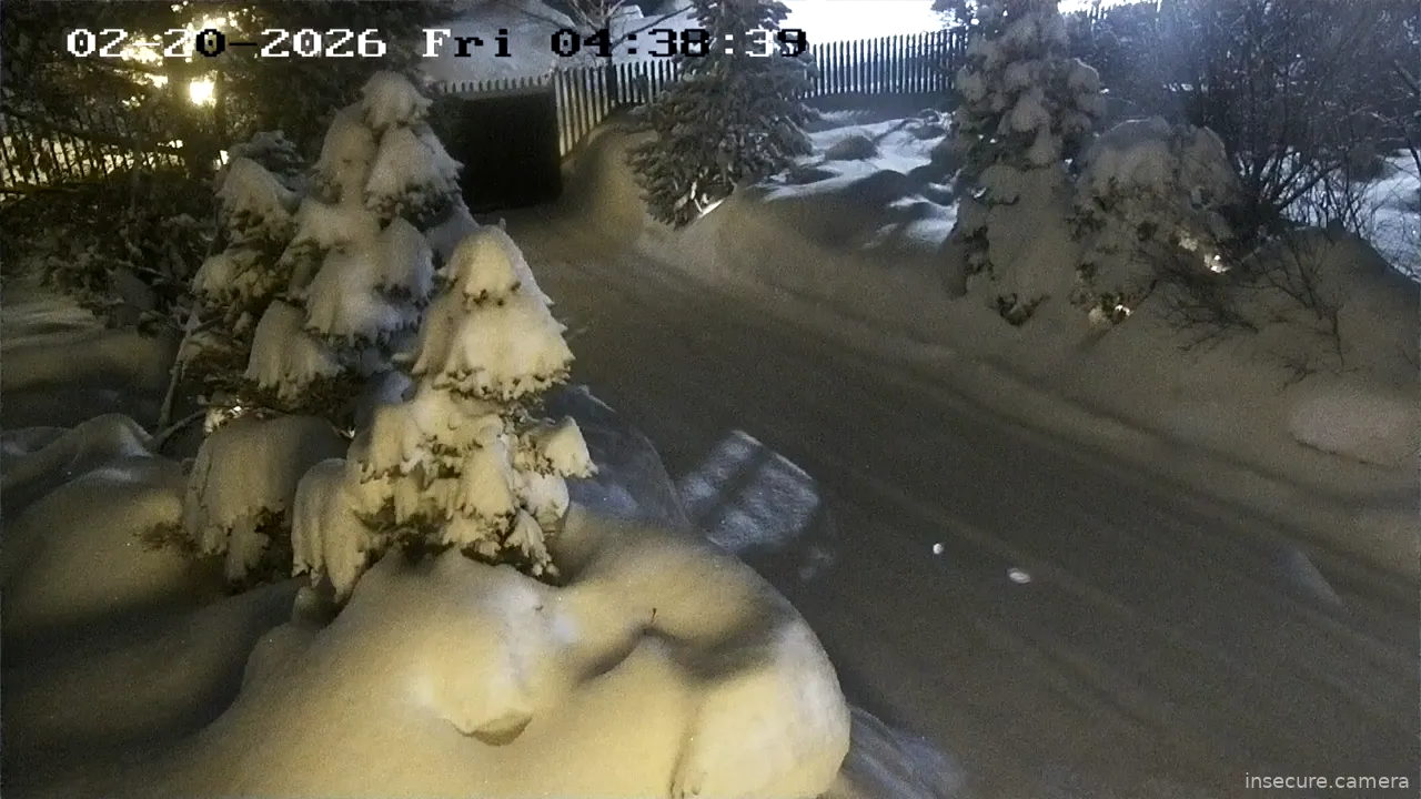 Capture from Feb 20, 2026 at 01:39 AM