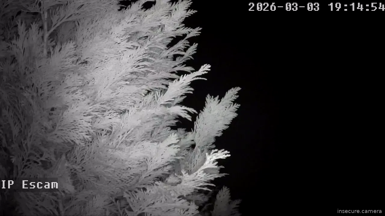 Capture from Mar 03, 2026 at 05:15 PM