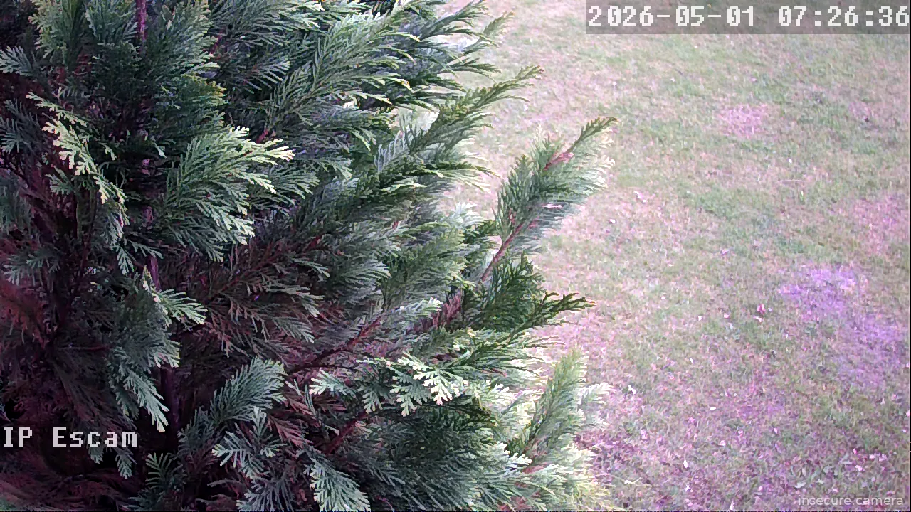 Capture from May 01, 2026 at 05:26 AM