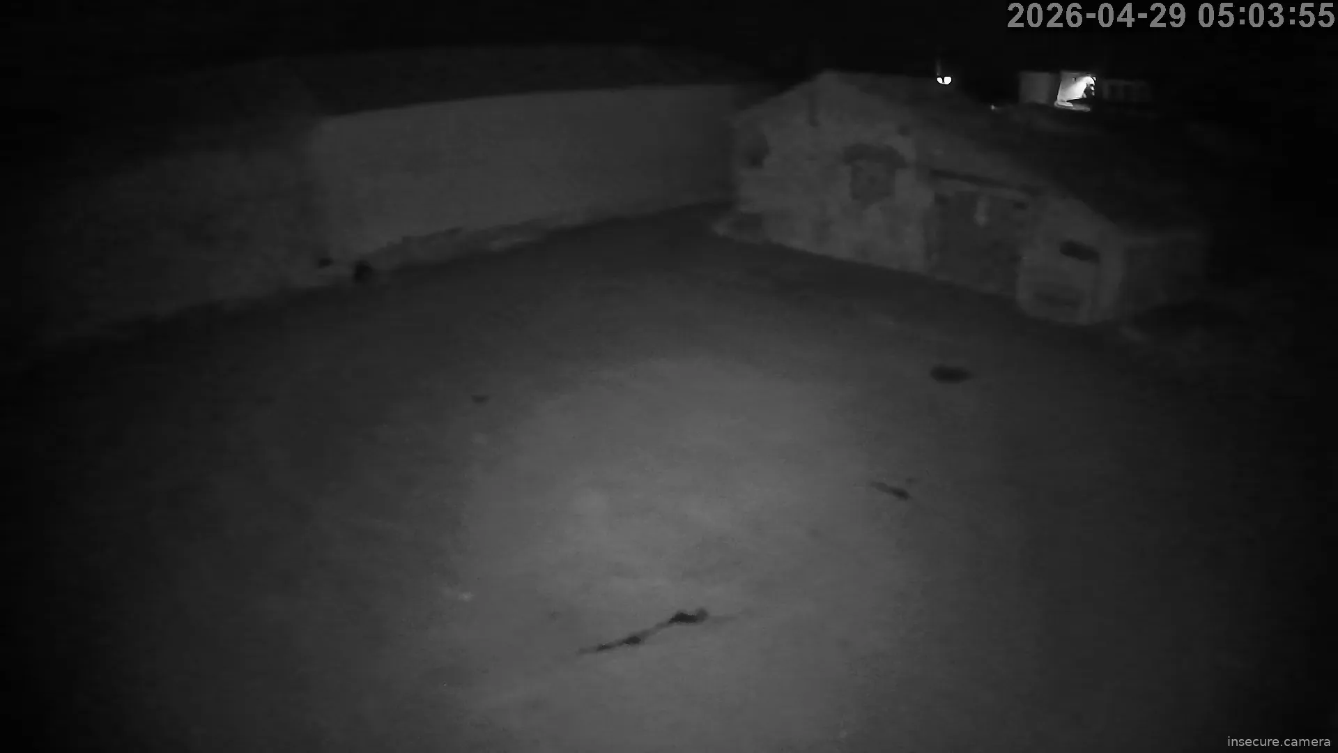 Capture from Apr 29, 2026 at 04:04 AM