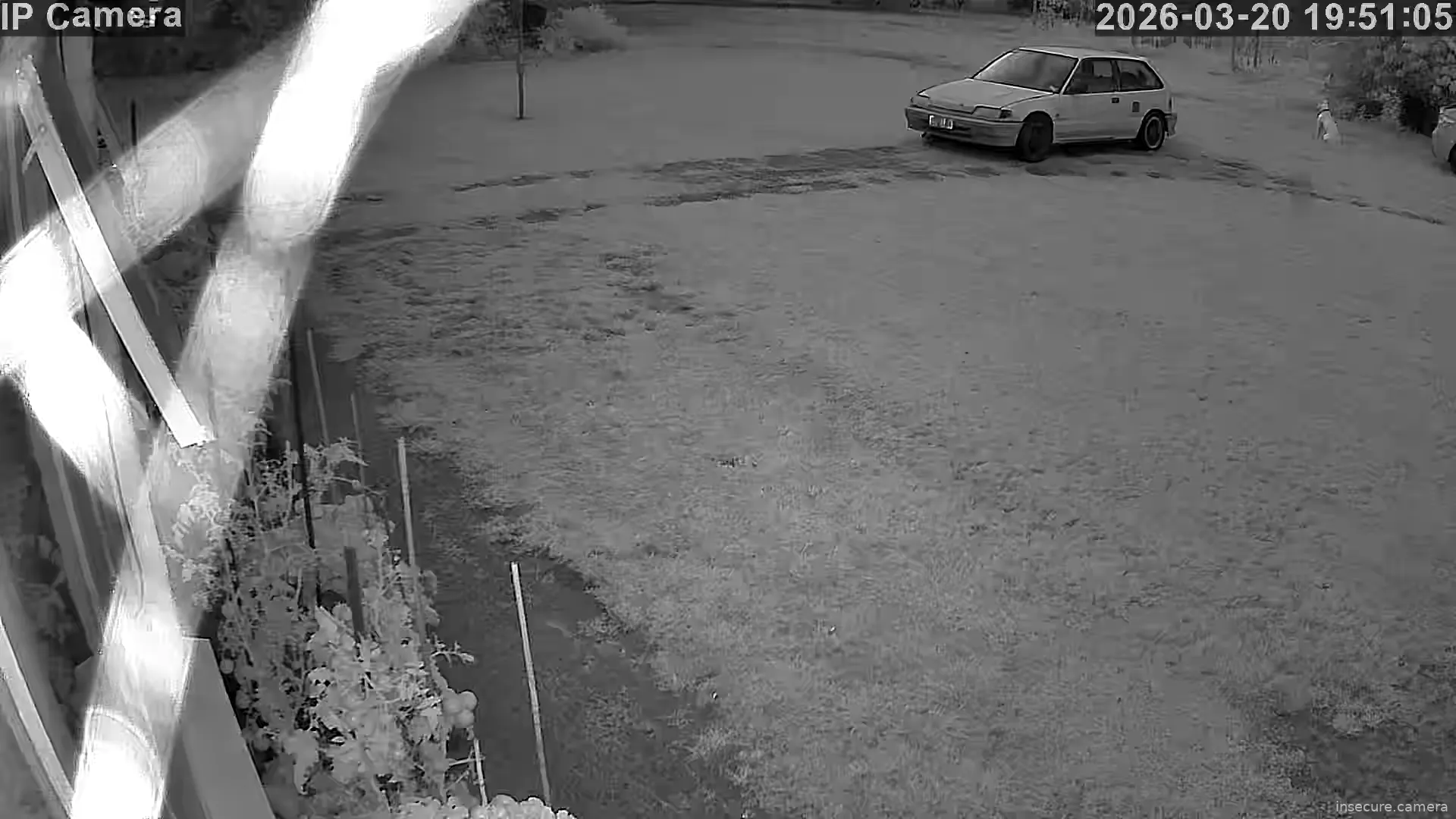 Camera in New Zealand