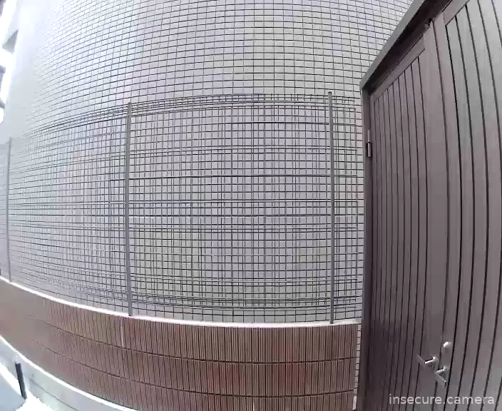 Camera in Japan