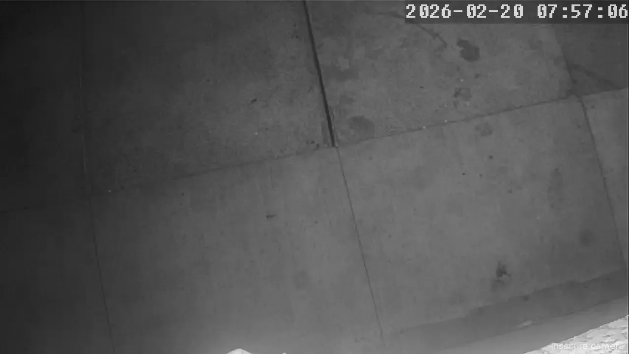 Capture from Feb 19, 2026 at 11:57 PM