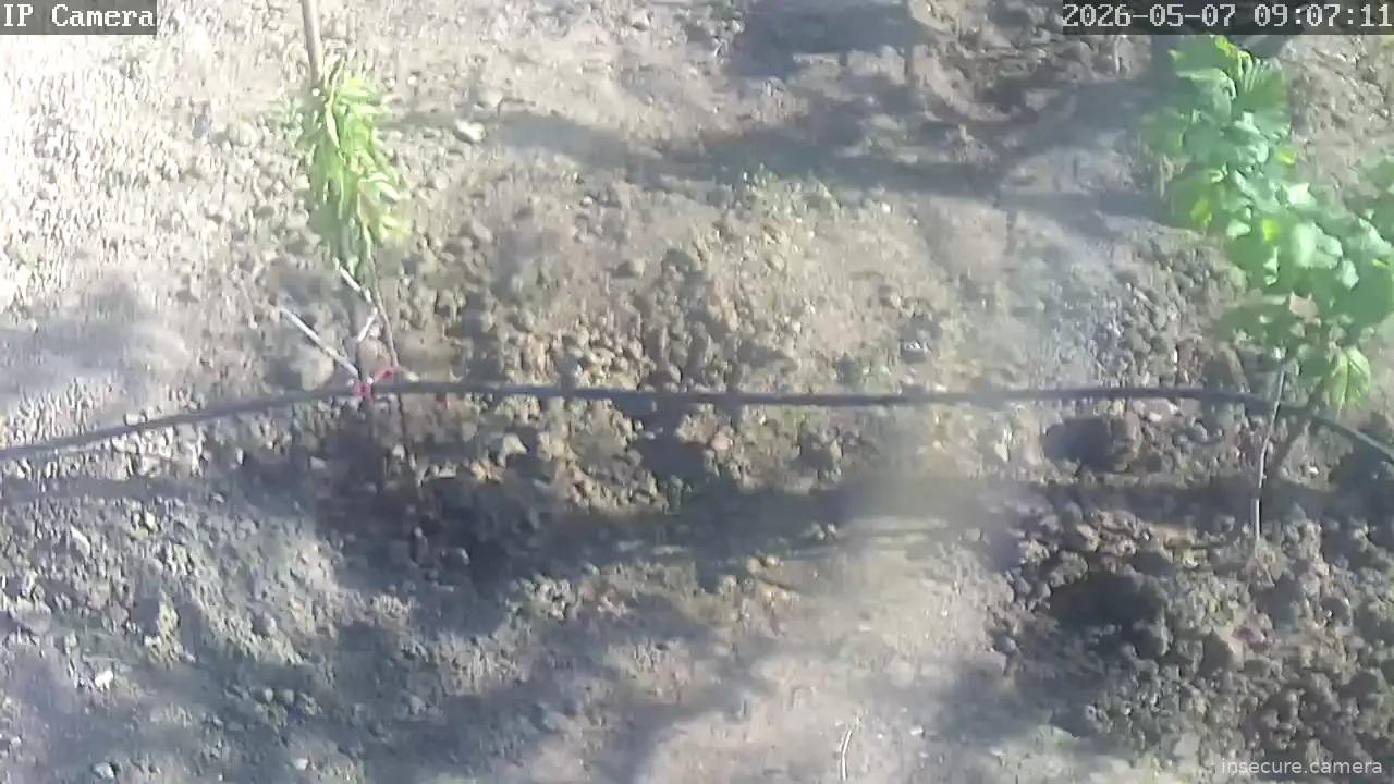 Camera in Bulgaria