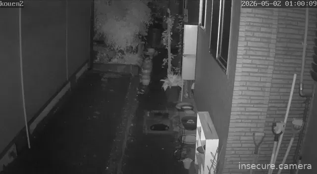 Camera in Japan