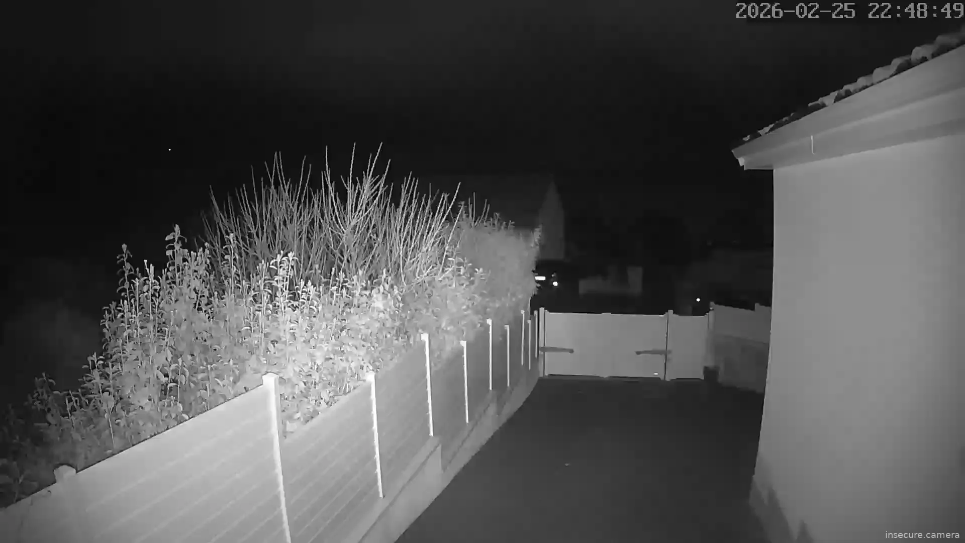 Capture from Feb 25, 2026 at 09:49 PM