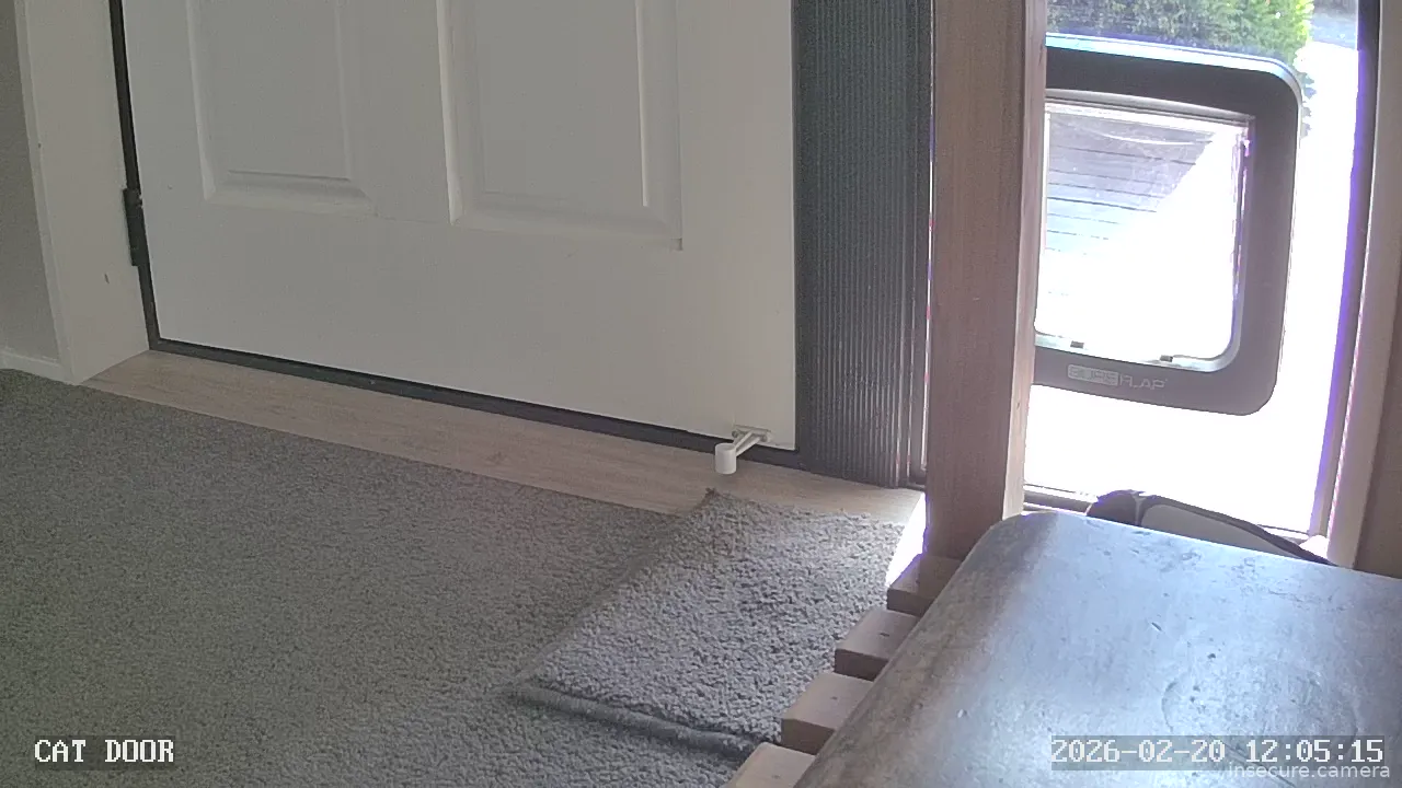 Camera in New Zealand