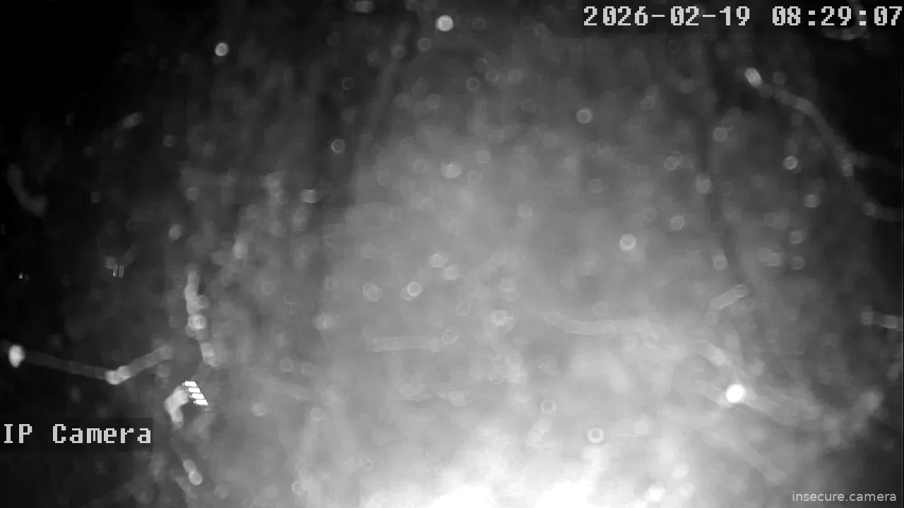 Capture from Feb 19, 2026 at 12:29 AM