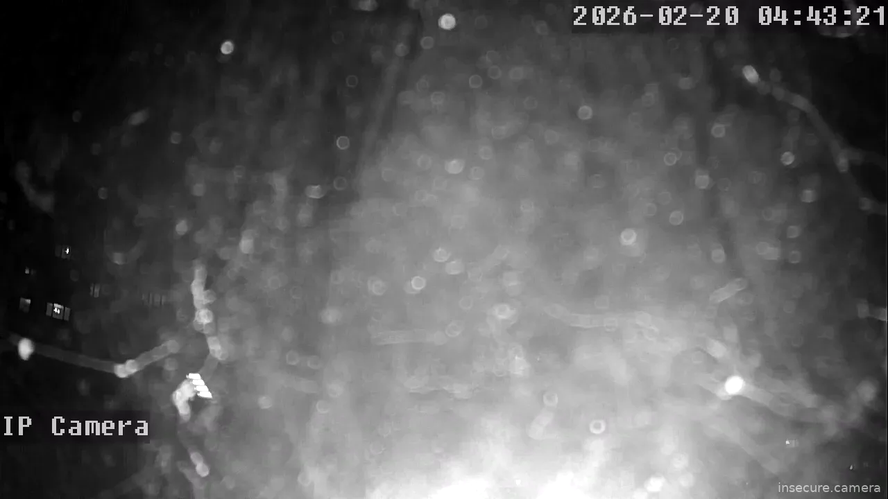 Capture from Feb 19, 2026 at 08:43 PM