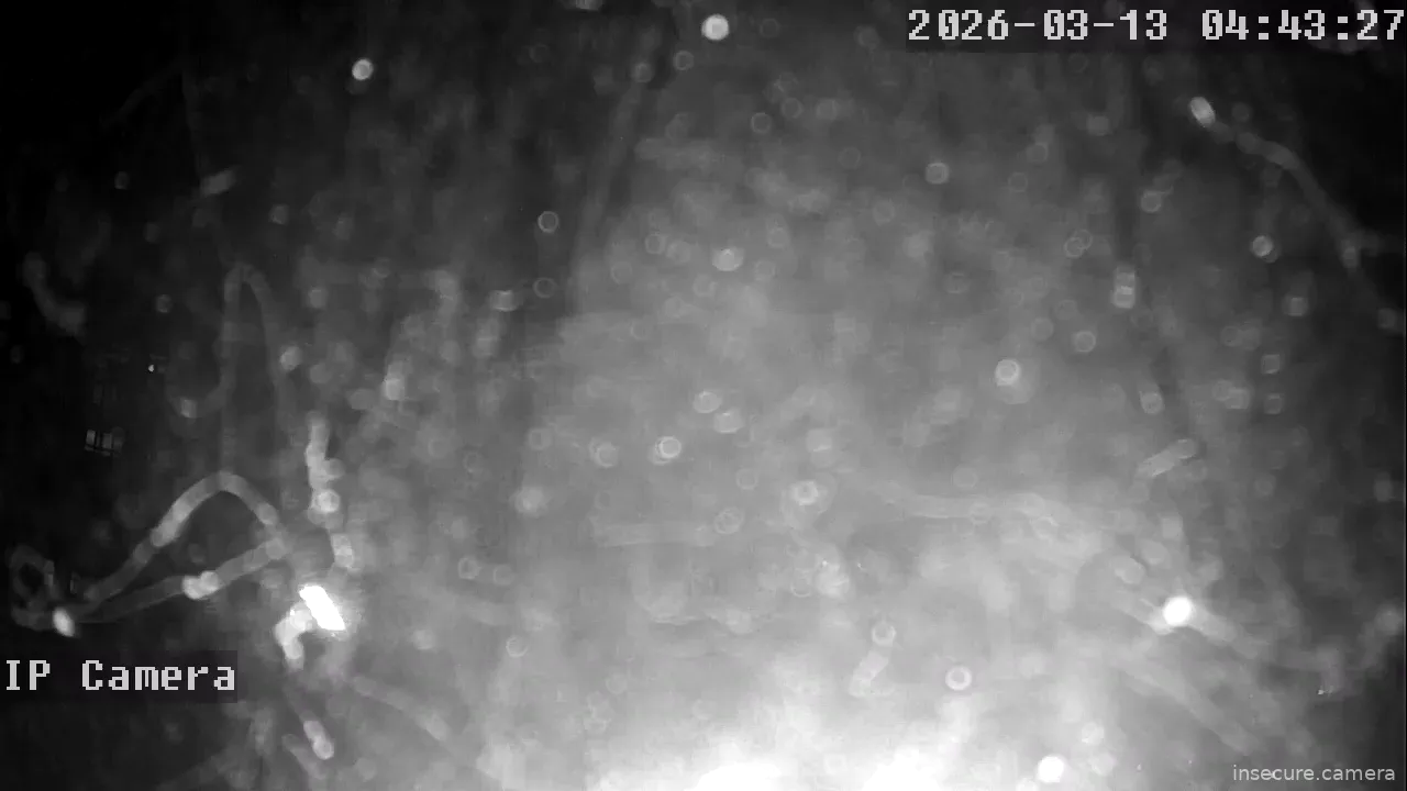 Capture from Mar 12, 2026 at 08:43 PM