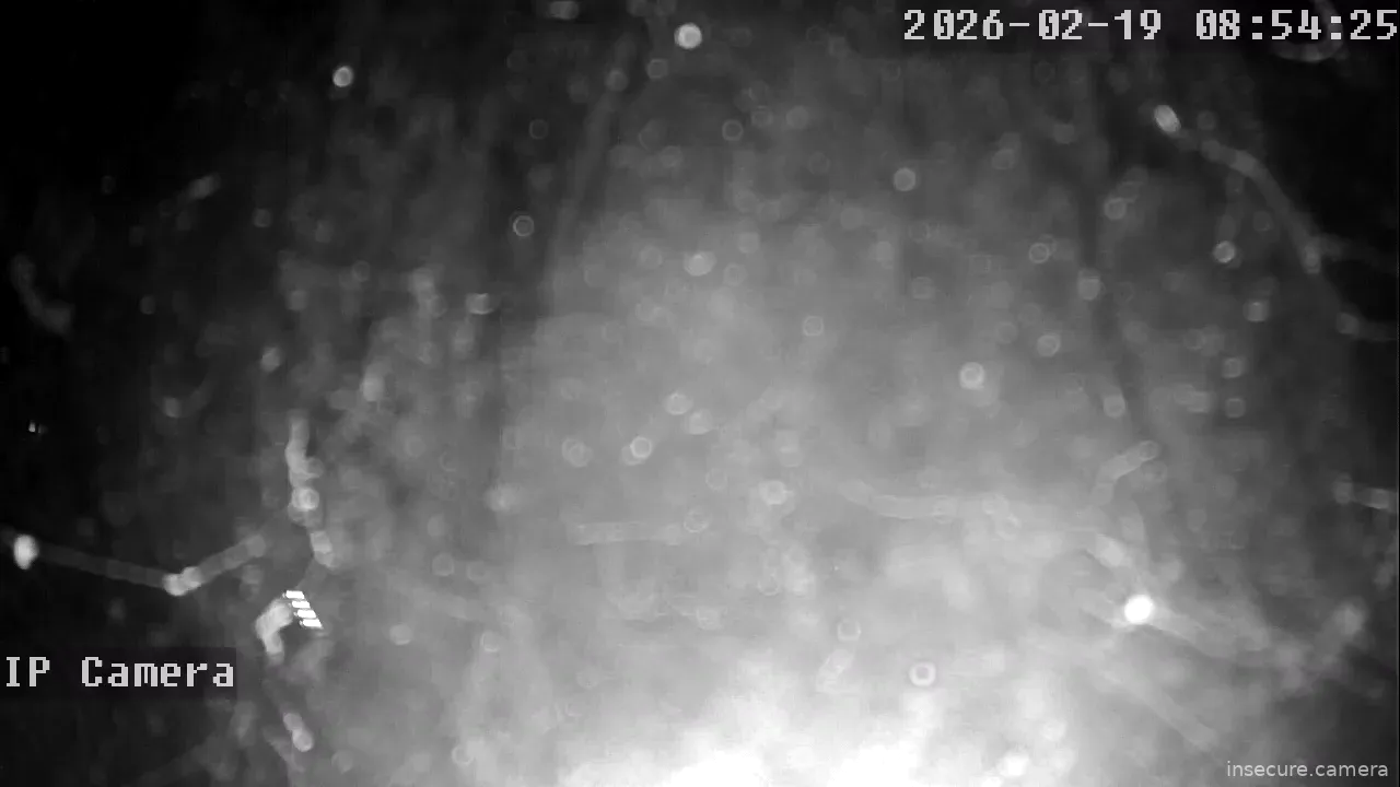 Capture from Feb 19, 2026 at 12:54 AM