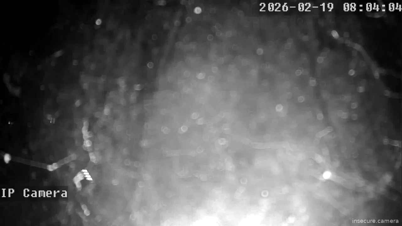 Capture from Feb 19, 2026 at 12:04 AM