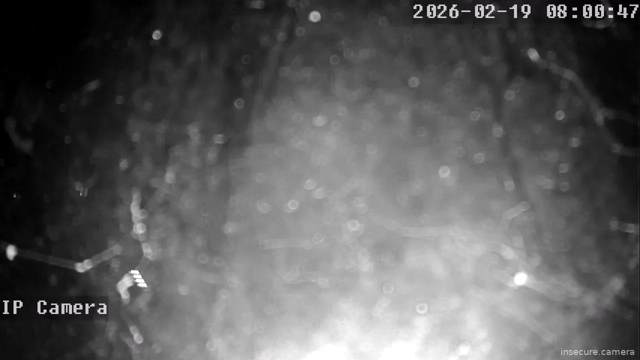 Capture from Feb 19, 2026 at 12:01 AM