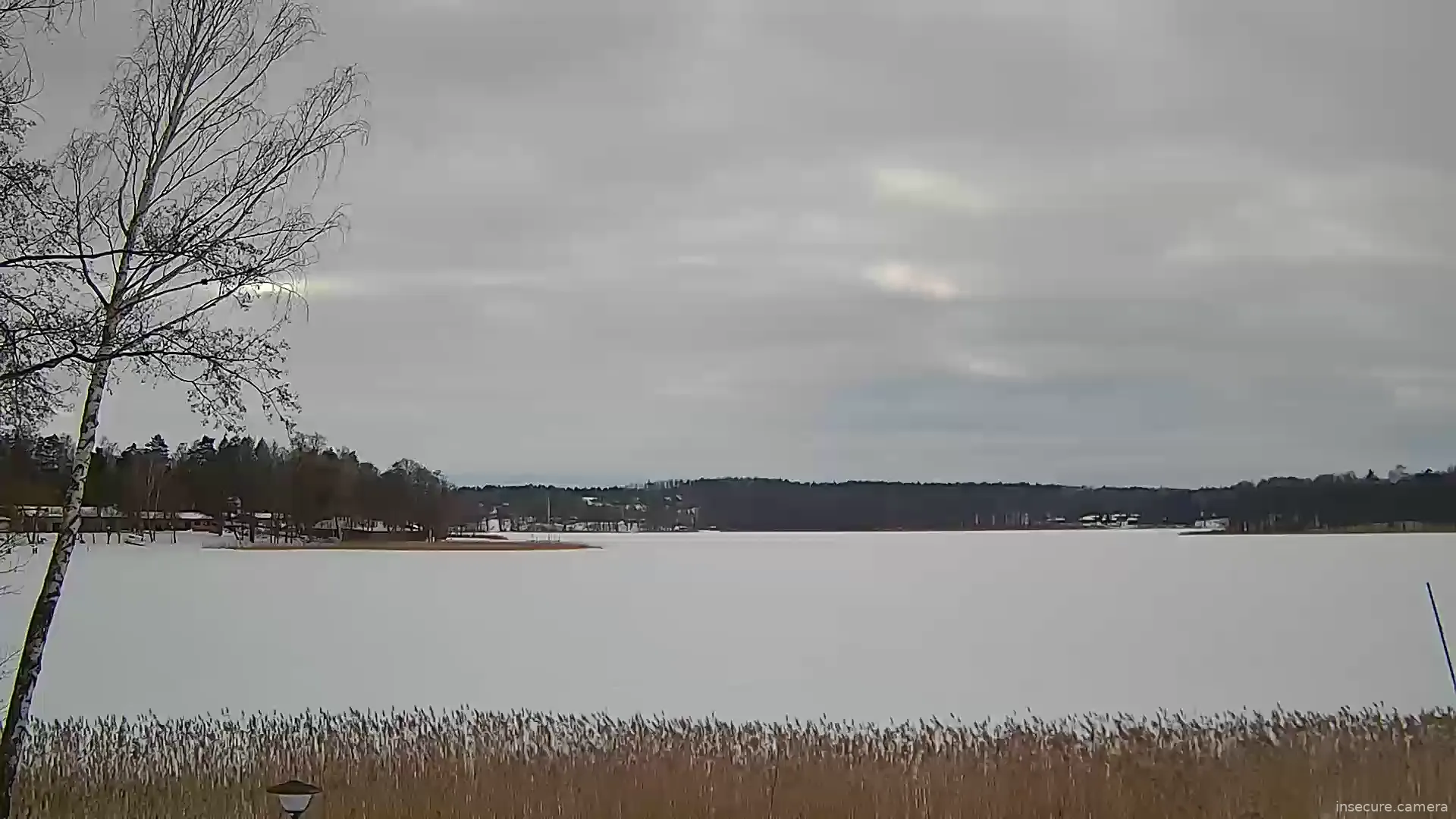 Capture from Feb 20, 2026 at 11:36 AM