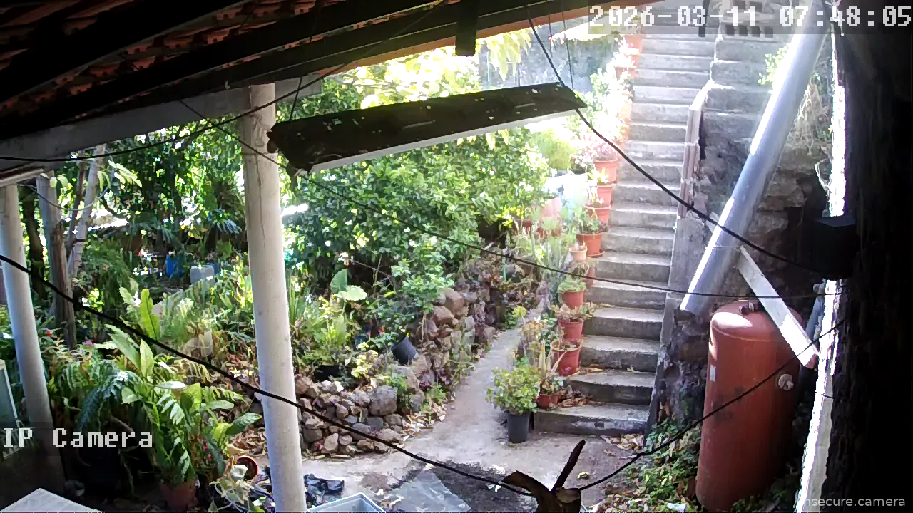 Capture from Mar 11, 2026 at 08:48 AM