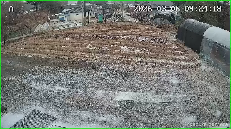 Capture from Mar 06, 2026 at 12:24 AM