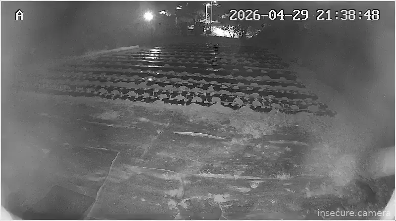 Capture from Apr 29, 2026 at 12:39 PM