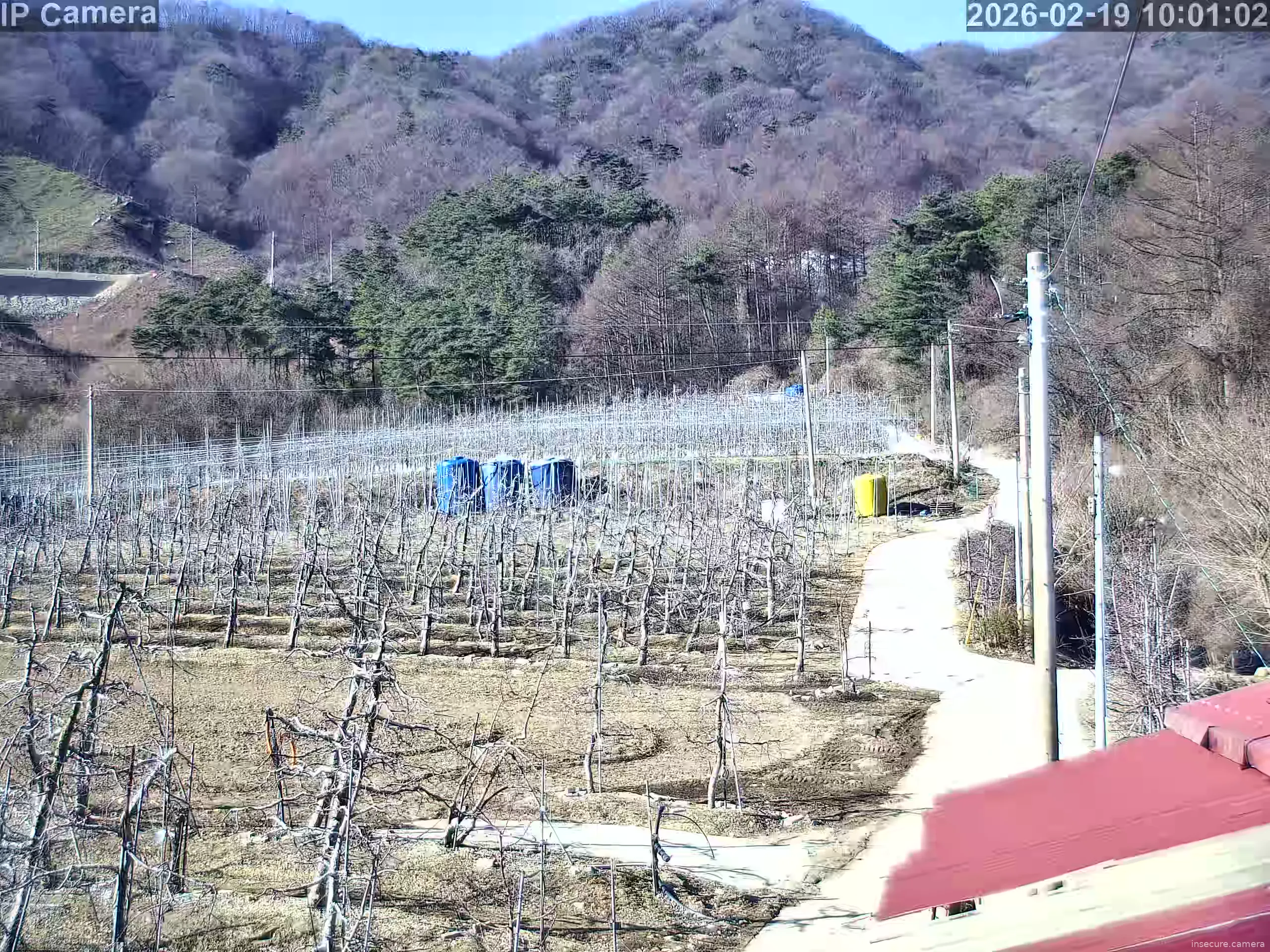 Capture from Feb 19, 2026 at 01:01 AM