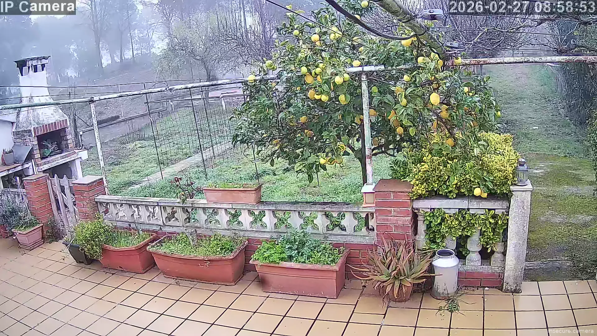 Capture from Feb 27, 2026 at 07:59 AM