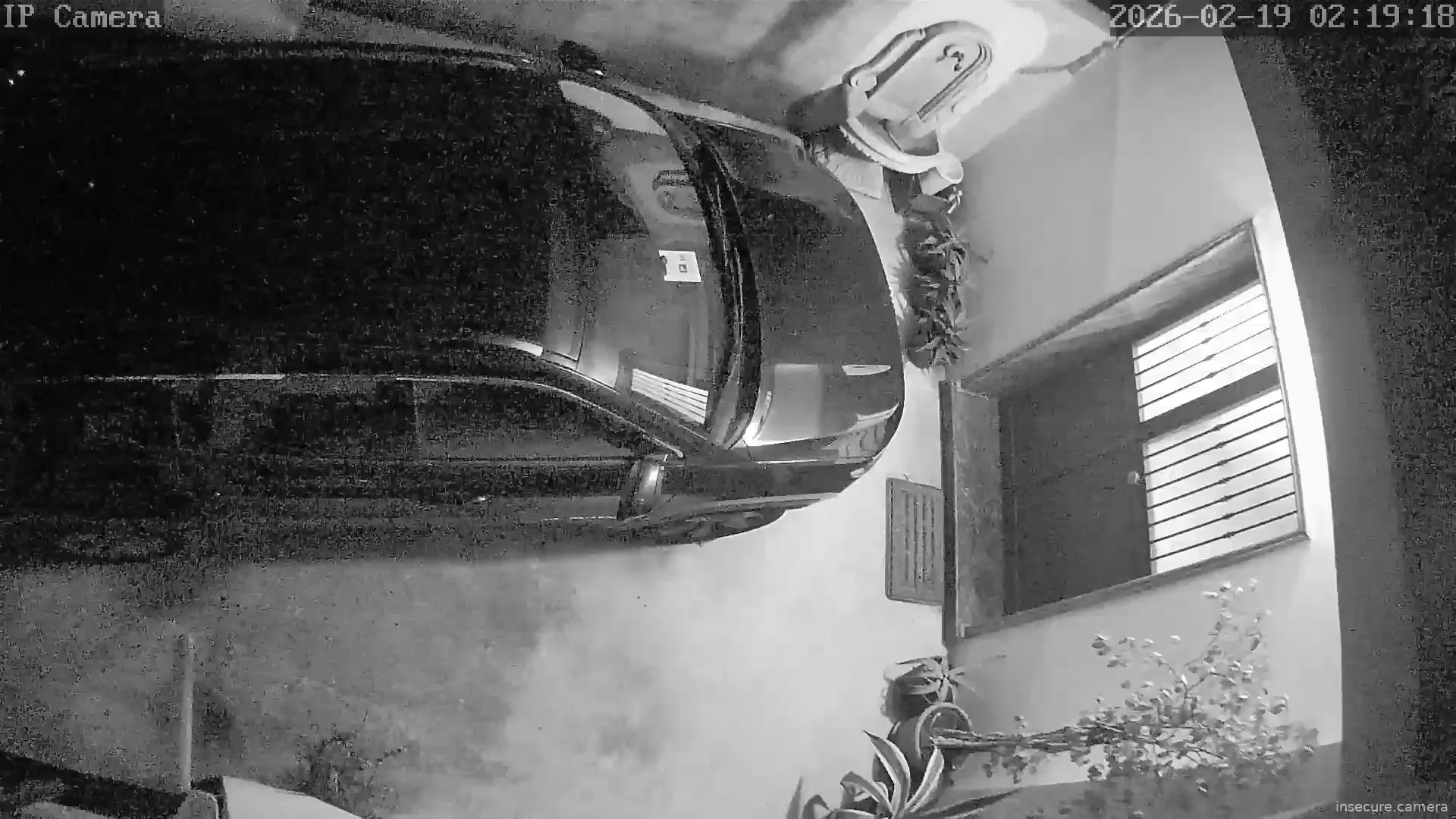 Capture from Feb 19, 2026 at 01:19 AM