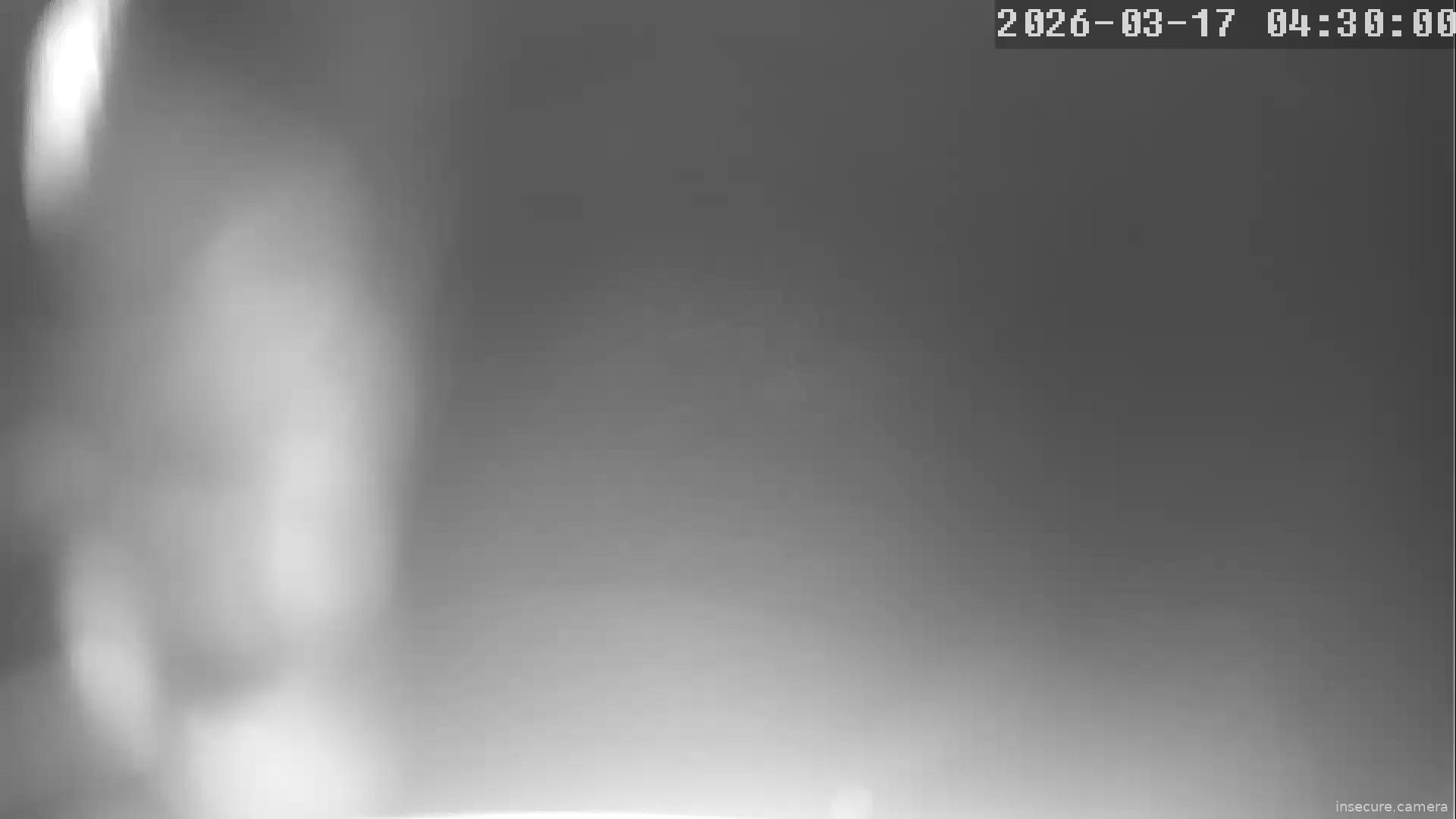 Capture from Mar 17, 2026 at 03:30 AM