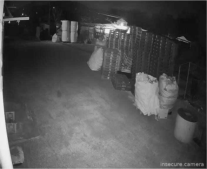 Capture from Feb 19, 2026 at 01:17 PM