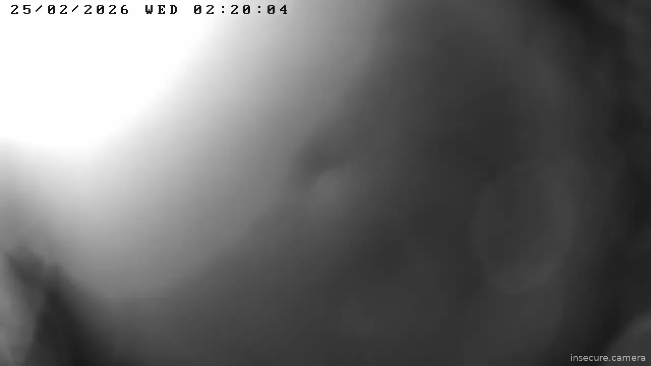 Capture from Feb 25, 2026 at 06:20 AM