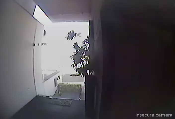 Camera in Mexico