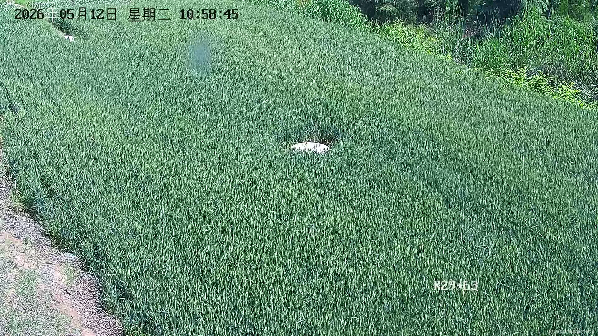 Camera in China