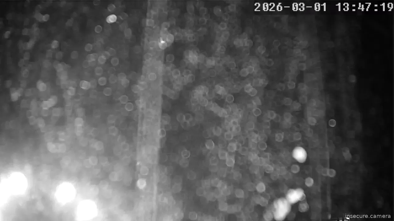 Capture from Mar 01, 2026 at 05:47 AM