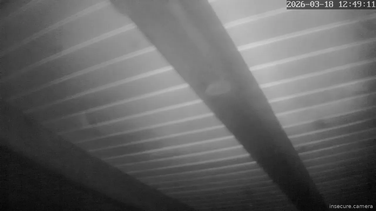 Capture from Mar 18, 2026 at 04:49 AM