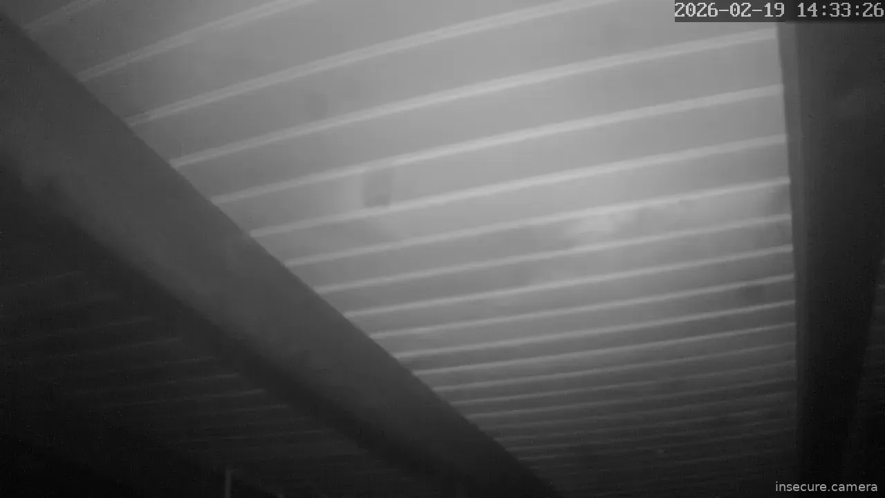 Capture from Feb 19, 2026 at 06:33 AM