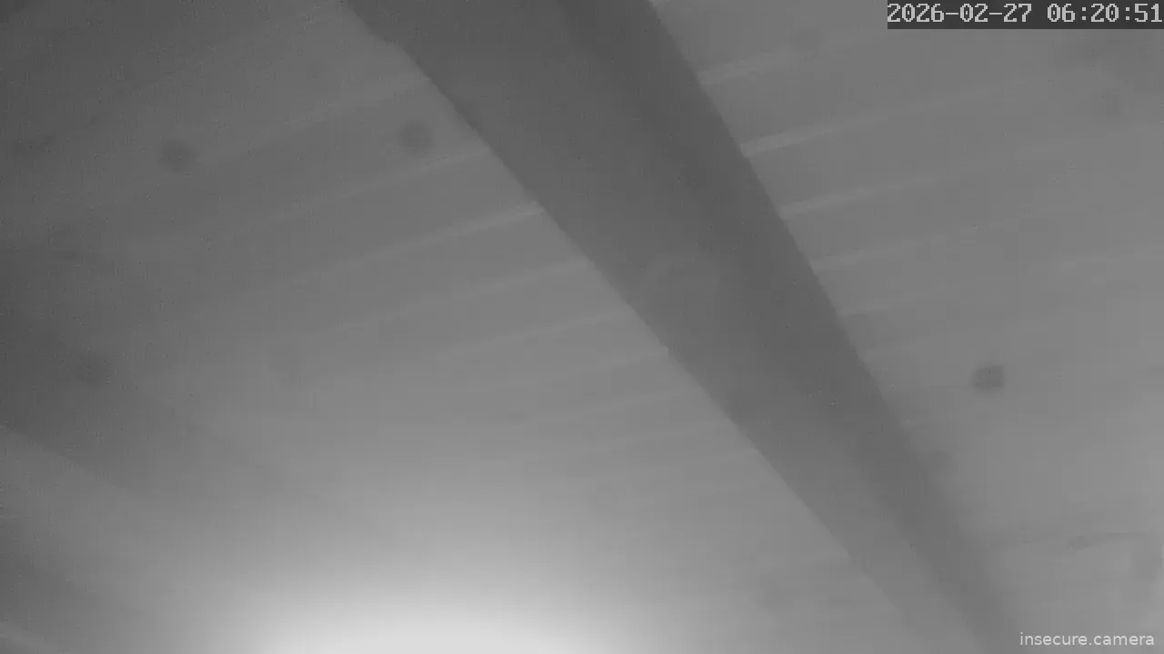 Capture from Feb 26, 2026 at 10:21 PM