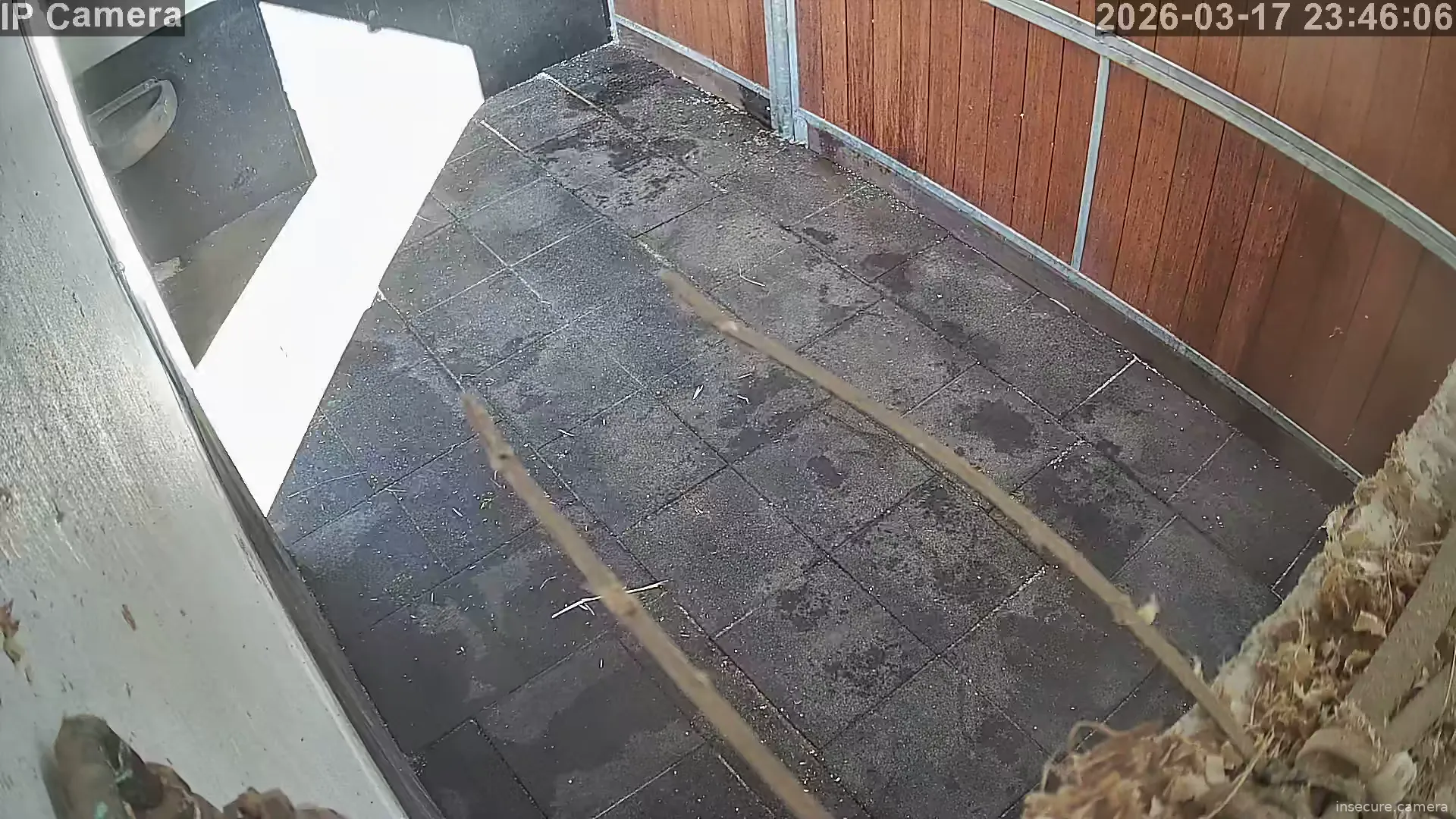 Capture from Mar 17, 2026 at 03:46 PM