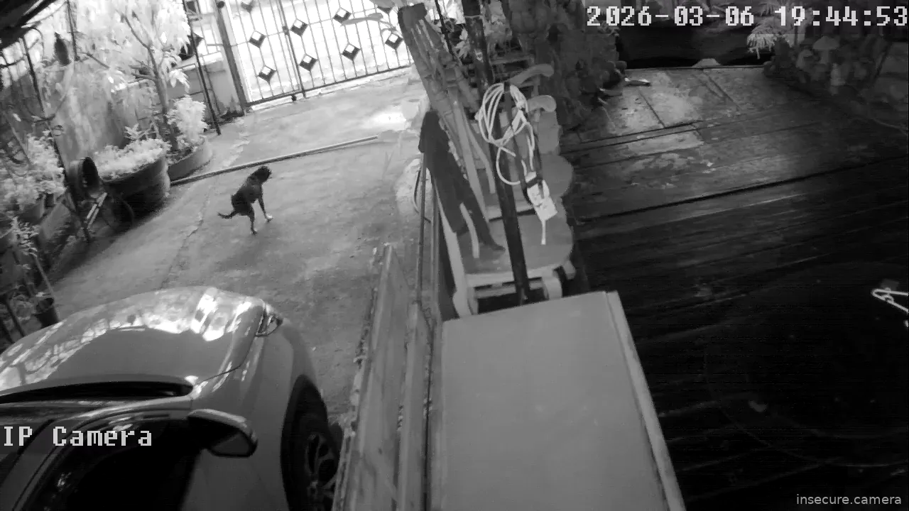 Capture from Mar 06, 2026 at 11:45 AM