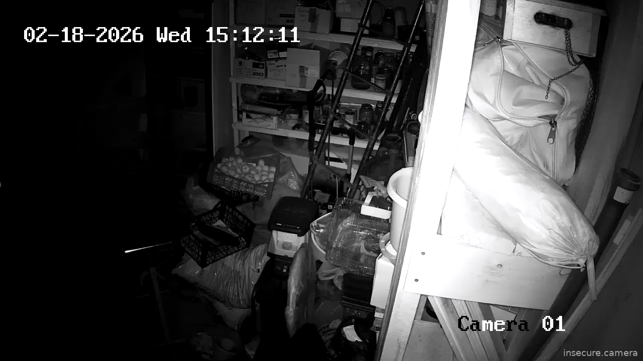 Capture from Feb 19, 2026 at 01:09 AM