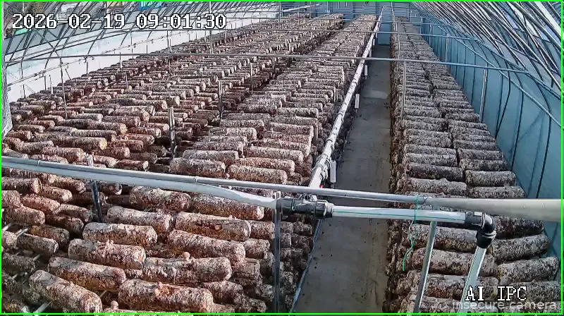 Capture from Feb 19, 2026 at 12:02 AM