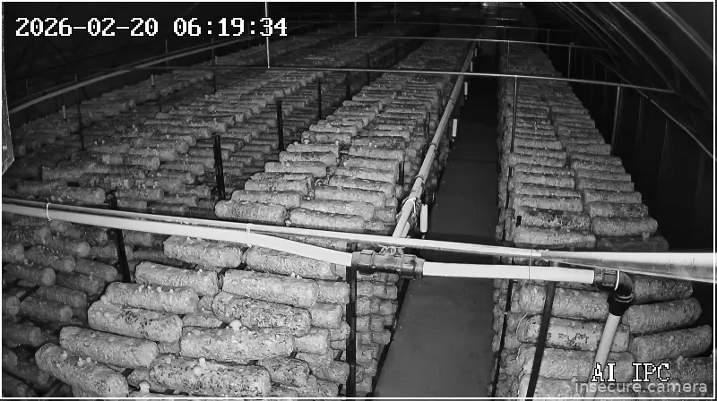 Capture from Feb 19, 2026 at 09:19 PM