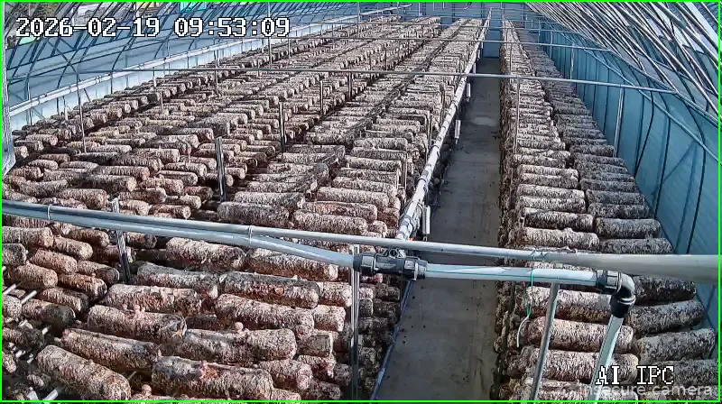 Capture from Feb 19, 2026 at 12:53 AM