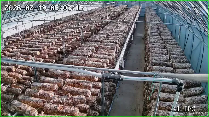 Capture from Feb 19, 2026 at 12:04 AM