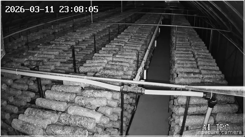 Capture from Mar 11, 2026 at 02:08 PM